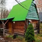 Женьшень. Горячий источник с минеральной водой